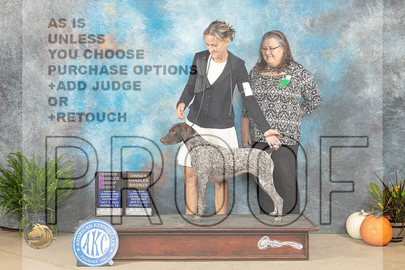 German Shorthaired Pointer #8 Sat OHG1 OHBronze Judge Ron Hornn_JP_6840_Humble2023_HR3