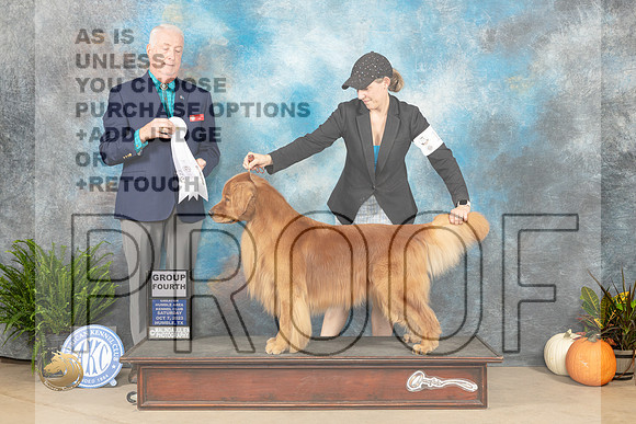 Golden  Retriever #15 Sat G4 Judge Steve Keating_JP_6745_Humble2023_HR3