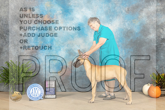Great Dane #15 Sat PG1 Judge David Peat_JP_6922_Humble2023_HR3