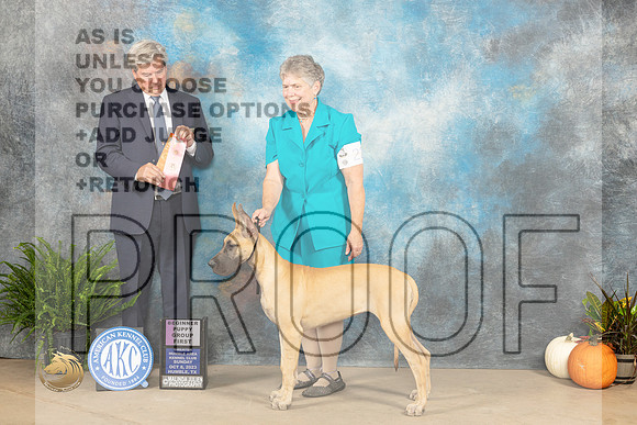 Great Dane #22 Sun PG1 Judge Jon Titus Steele_JP_7495_Humble2023_HR3