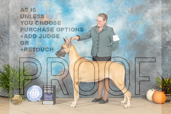 Great Dane #24 SAT G4 Judge David Peat_JP_6608_Humble2023_HR3