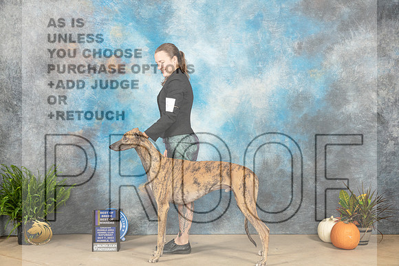 Greyhound #5 Sat BOBBOW Judge Angela Pickett_JP_6271_Humble2023_HR3