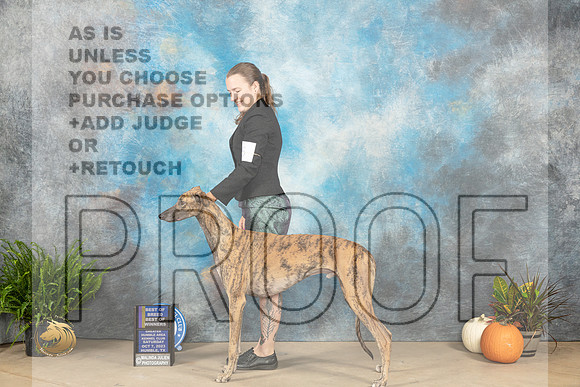Greyhound #5 Sat BOBBOW Judge Angela Pickett_JP_6272_Humble2023_HR3
