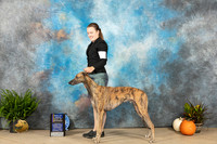 Greyhound #5 Sat BOBBOW Judge Angela Pickett