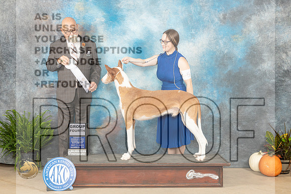 Ibizian Hound #5 Sat G4 Judge David Peat_JP_6710_Humble2023_HR3