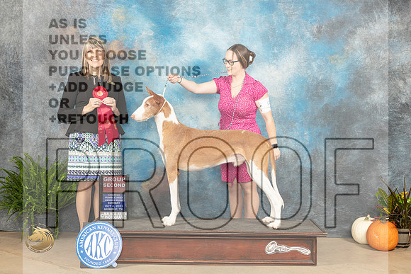Ibizian Hound #5 Sun G2 Judge Angela Pickett_JP_7321_Humble2023_HR3