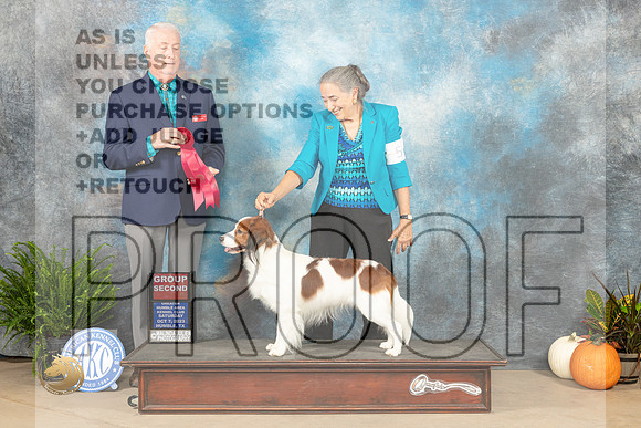 Kooikerhondje #5 Sat G2 Judge Steve Keating_JP_6749_Humble2023_HR3