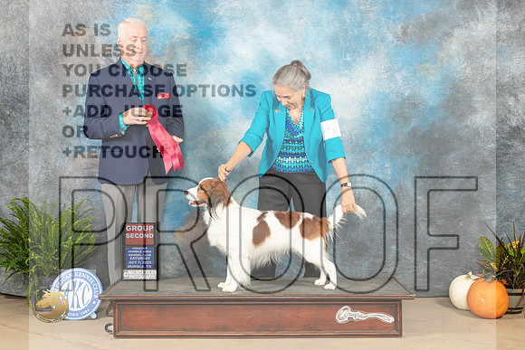 Kooikerhondje #5 Sat G2 Judge Steve Keating_JP_6754_Humble2023_HR3