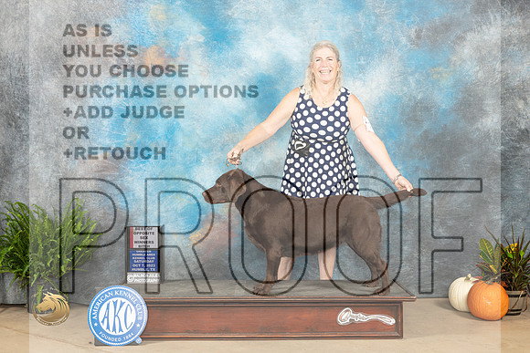 Labrador Retriever #20 SAT WBBOS Judge David Peat_JP_6449_Humble2023_HR3