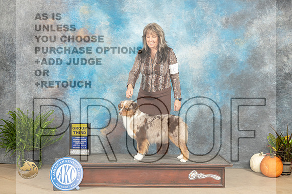 Miniature American Shepherd #6 Sun G3 Judge Steve Keating_JP_7493_Humble2023_HR3