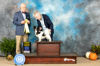 Papipllion #15 SAT G3 Judge Ronald Horn