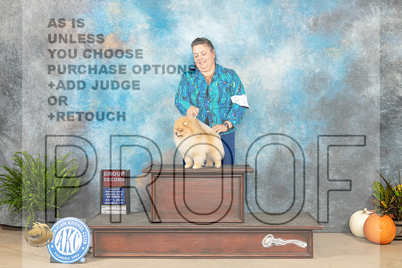 Pomeranian  #11 SAT   G2 Judge Ronald Horn_JP_6527_Humble2023_HR3