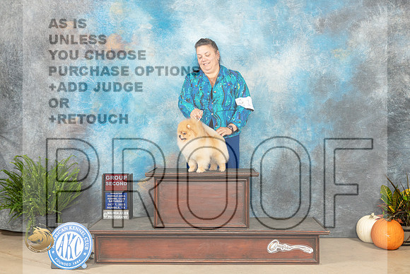 Pomeranian  #11 SAT   G2 Judge Ronald Horn_JP_6526_Humble2023_HR3