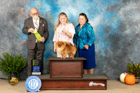 Pomeranian #7 Sat OHRBIS Judge David Peat