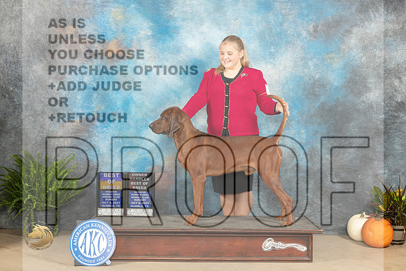 Redbone Coonhound #5 Sun BOBOHBOB Judge Steve Keating_JP_7453_Humble2023_HR3