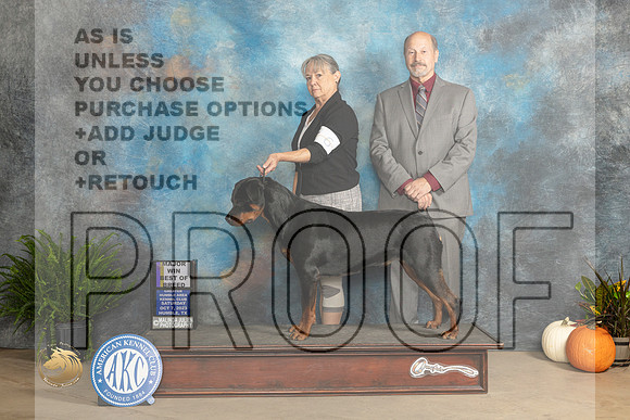 Rottweiler #6 Sat WBBOB maj Judge Kimbverly Meredith r_JP_7072_Humble2023_HR3