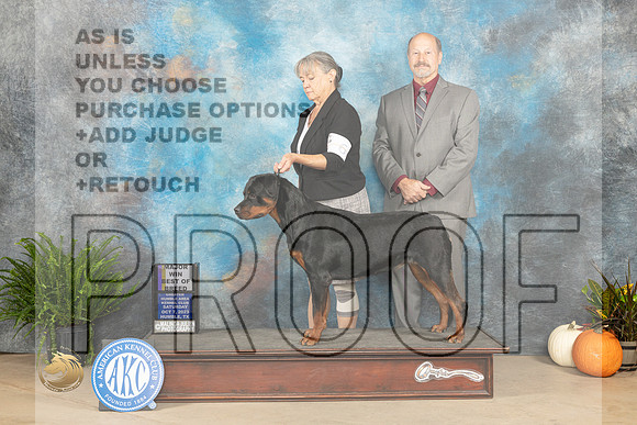 Rottweiler #6 Sat WBBOB maj Judge Kimbverly Meredith r_JP_7073_Humble2023_HR3