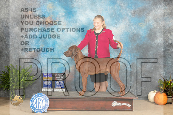 Redbone Coonhound #5 Sun BOBOHBOB Judge Steve Keating_JP_7455_Humble2023_HR3