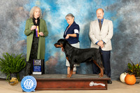 Rpttweiler #6 SAT BOB maj Judge Kim Meredith
