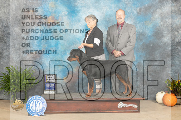 Rottweiler #6 Sat WBBOB maj Judge Kimbverly Meredith r_JP_7075_Humble2023_HR3