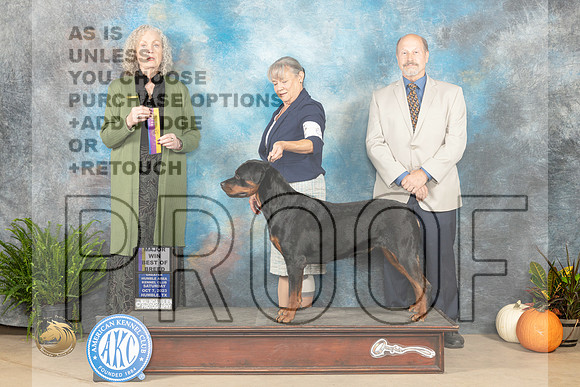 Rpttweiler #6 SAT BOB maj Judge Kim Meredith_JP_6617_Humble2023_HR3