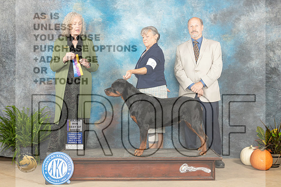 Rpttweiler #6 SAT BOB maj Judge Kim Meredith_JP_6618_Humble2023_HR3