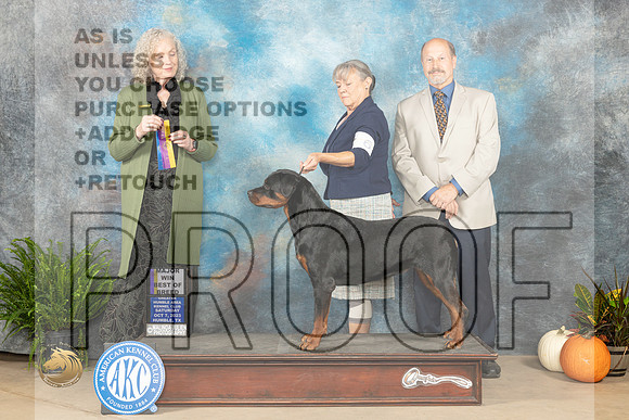 Rpttweiler #6 SAT BOB maj Judge Kim Meredith_JP_6623_Humble2023_HR3