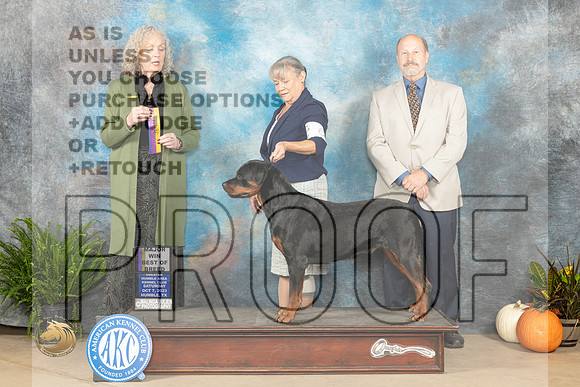 Rpttweiler #6 SAT BOB maj Judge Kim Meredith_JP_6614_Humble2023_HR3