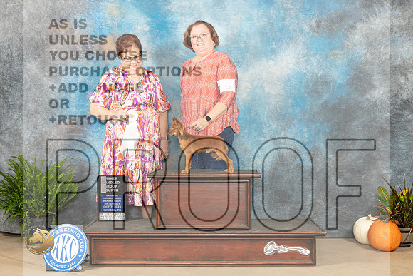 Russian Toy #5 SAT OHG4 Judge Pamela Peat_JP_6548_Humble2023_HR3