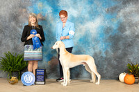 Saluki #15 Sun G1 Judge Angela Pickett