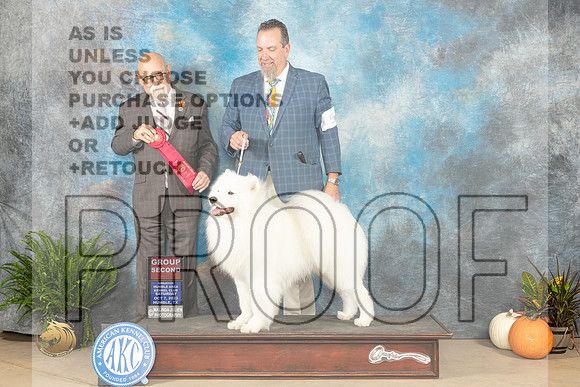 Samoyed SAT  #5 G2 Judge David Peat_JP_6602_Humble2023_HR3