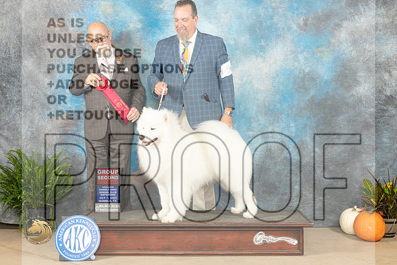 Samoyed SAT  #5 G2 Judge David Peat_JP_6604_Humble2023_HR3