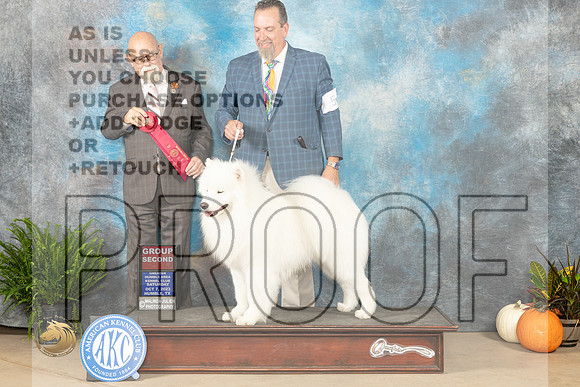 Samoyed SAT  #5 G2 Judge David Peat_JP_6605_Humble2023_HR3