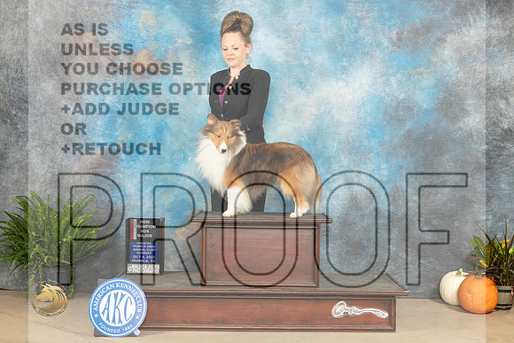 Shetland Sheepdog #? Sun BOSWDMCH Judge Kim Meredith_JP_7422_Humble2023_HR3
