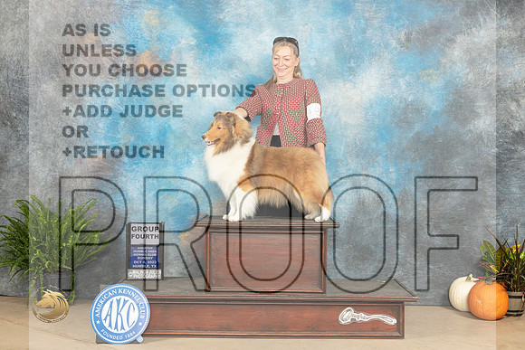 Shetland Sheepdog #18 Sun G4 Judge Steve Keating_JP_7434_Humble2023_HR3