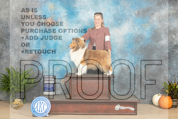 Shetland Sheepdog #18 Sun G4 Judge Steve Keating_JP_7436_Humble2023_HR3