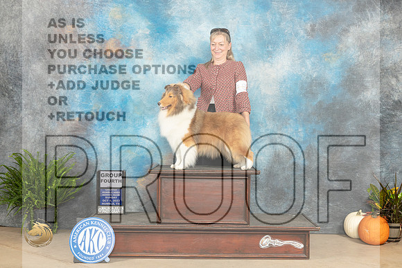 Shetland Sheepdog #18 Sun G4 Judge Steve Keating_JP_7439_Humble2023_HR3