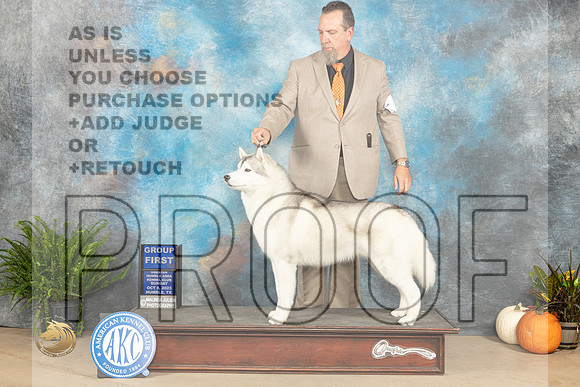 Siberian Husky #5 Sun G1 Judge Kim Meredith_JP_7556_Humble2023_HR3