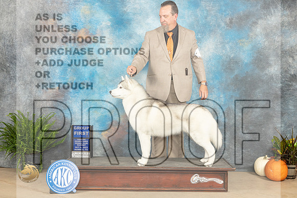 Siberian Husky #5 Sun G1 Judge Kim Meredith_JP_7560_Humble2023_HR3