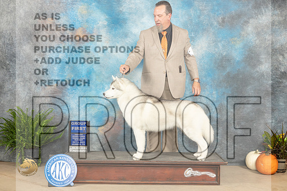 Siberian Husky #5 Sun G1 Judge Kim Meredith_JP_7562_Humble2023_HR3