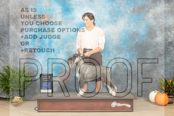Standard Schnauzer #8 Sat G3OH Judge Steve Keating_JP_6666_Humble2023_HR3