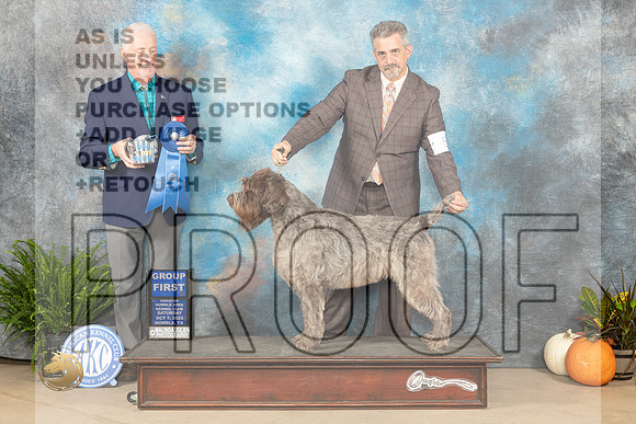 Wirehaired Pointing Griffon#5 Sat G1 Judge Steve Keating _JP_6728_Humble2023_HR3