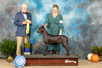 XOLO #5 SAT G3 Judge Ronald Horn