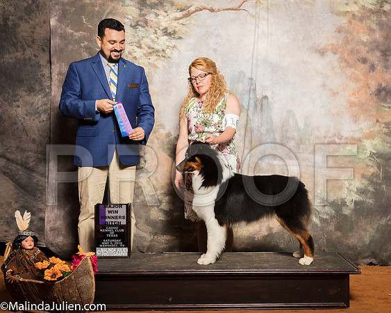 Australian Shepherd #16 Sat WB Maj Cangemi Mike Cherri Foster Judge Joao MachadoSSR_1204-Mj-HR3