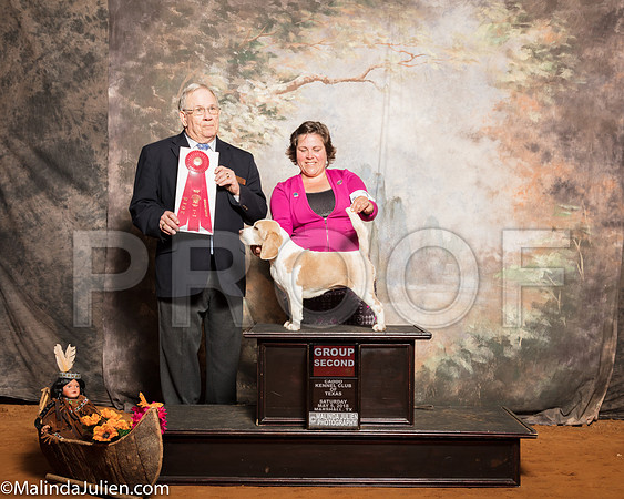 Beagle 13 #12 Sat G2 Austin Mildred Judge Dr Donald GillSSR_1185-Mj-HR3