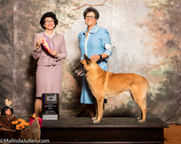 Belgian Malinois #5 Sat BOB OH Hoerster Pamela Judge Linda Clark