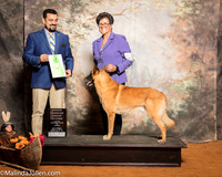 Belgian Malinois #5 Sat OHG2 Hoerster Pamela Judge Joao Machado