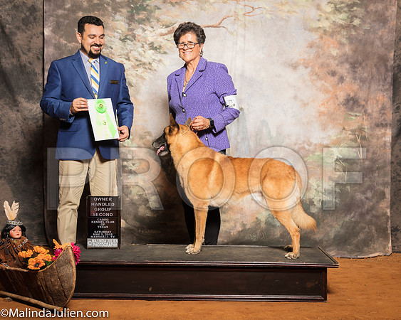 Belgian Malinois #5 Sat OHG2 Hoerster Pamela Judge Joao MachadoSSR_1324-Mj-HR3