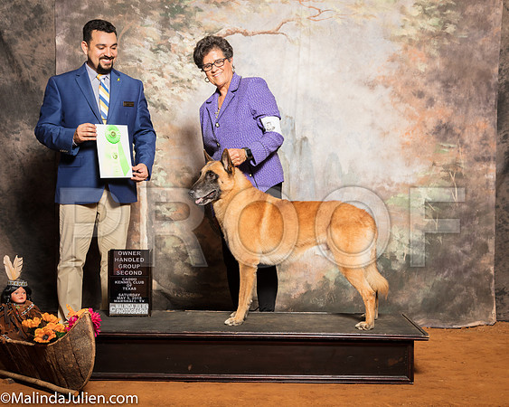 Belgian Malinois #5 Sat OHG2 Hoerster Pamela Judge Joao MachadoSSR_1327-Mj-HR3