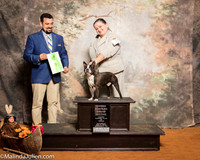 Boston Terrier #5 Sat OHG2 Gates Robin Helen Dunning Judge Joao Machado